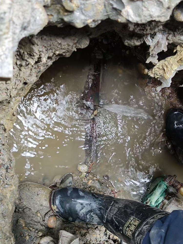 敦化地区绿化水管漏水检测维修